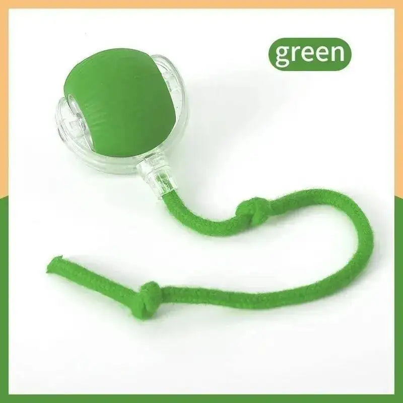 Smart Interactive Dog Toy Ball – USB Rechargeable Auto-Bouncing Pet Toy