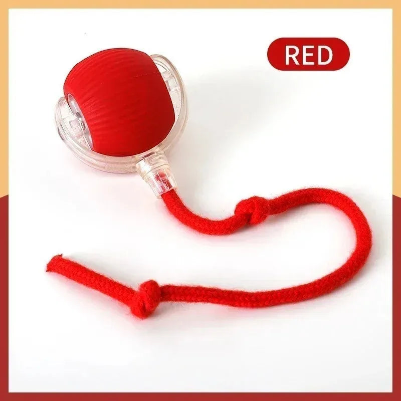 Smart Interactive Dog Toy Ball – USB Rechargeable Auto-Bouncing Pet Toy