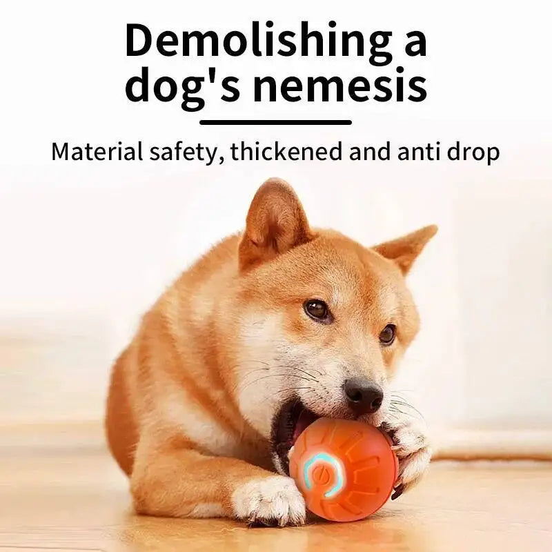 Smart Interactive Dog Toy Ball – USB Rechargeable Auto-Bouncing Pet Toy