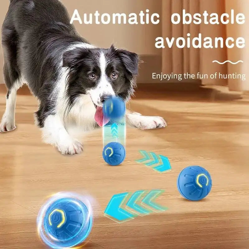 Smart Interactive Dog Toy Ball – USB Rechargeable Auto-Bouncing Pet Toy