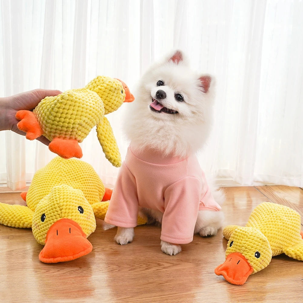 Plush Squeaky Dog Toy – Teething & Boredom Relief for Small & Medium Dogs