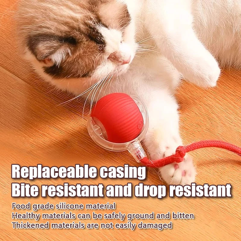 Smart Cat Toy – Rechargeable Rolling Ball with Mouse Tail