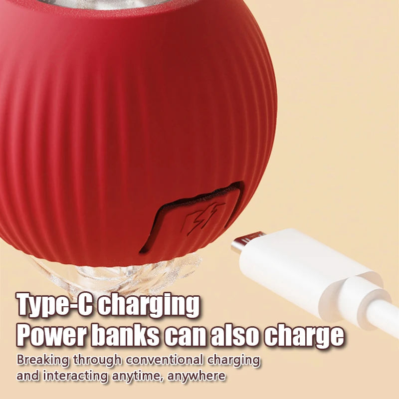 Smart Cat Toy – Rechargeable Rolling Ball with Mouse Tail